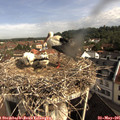 09_15-nest.jpg