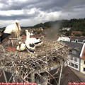 11_15-nest.jpg