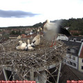 11_20-nest.jpg