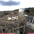 11_25-nest.jpg