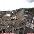11_40-nest.jpg