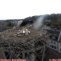 11_55-nest.jpg