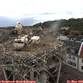 13_40-nest.jpg