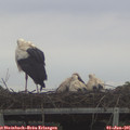 06_00-mast.jpg