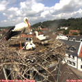 12_25-nest.jpg