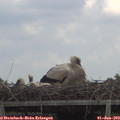 13_45-mast.jpg