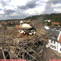 13_45-nest.jpg