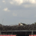 14_20-mast.jpg