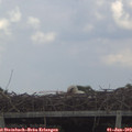 14_25-mast.jpg