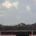 14_30-mast.jpg