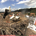 14_40-nest.jpg