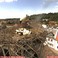 15_00-nest.jpg