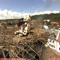 15_05-nest.jpg