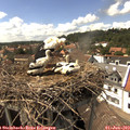 15_15-nest.jpg