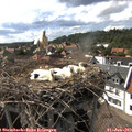 16_35-nest.jpg