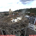 16_55-nest.jpg