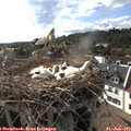 17_30-nest.jpg
