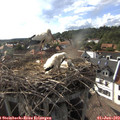 17_35-nest.jpg