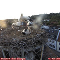20_30-nest.jpg