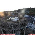 20_50-nest.jpg