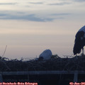 05_35-mast.jpg