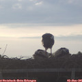 06_30-mast.jpg
