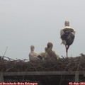 10_55-mast.jpg