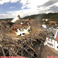 14_45-nest.jpg