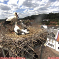15_05-nest.jpg