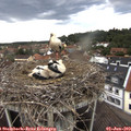 18_10-nest.jpg