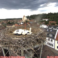 18_15-nest.jpg