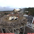19_50-nest.jpg