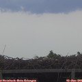 20_05-mast.jpg