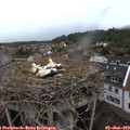 20_20-nest.jpg