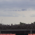 20_25-mast.jpg