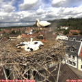 12_05-nest.jpg