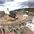 12_35-nest.jpg
