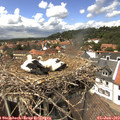 14_10-nest.jpg