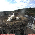 18_10-nest.jpg