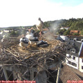 18_30-nest.jpg