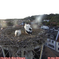 19_40-nest.jpg