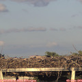 20_05-mast.jpg