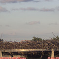 20_15-mast.jpg