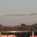 20_40-mast.jpg