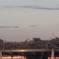 20_45-mast.jpg
