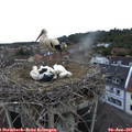 06_05-nest.jpg