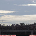 09_20-mast.jpg