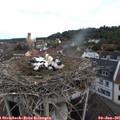 09_25-nest.jpg