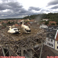 12_25-nest.jpg