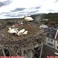 12_30-nest.jpg